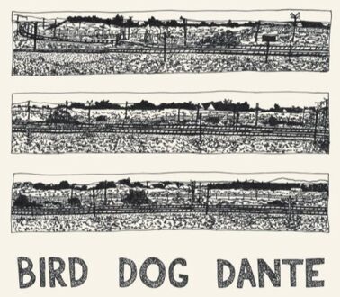 Bird Dog Dante