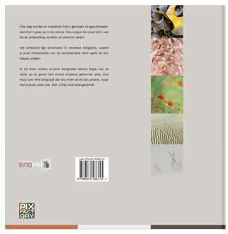 Birdpix Praktijkboek creatieve natuurfotografie - Boek Marijn Heuts (9079588148)