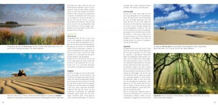Birdpix Praktijkboek landschapsfotografie - Boek Jaap Schelvis (9079588075)