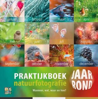 Birdpix Praktijkboek Natuurfotografie jaarrond - Boek Bob Luijks (9079588202)