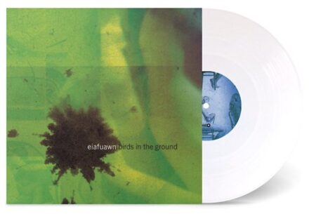 Birds In The Ground - Eiafuawn