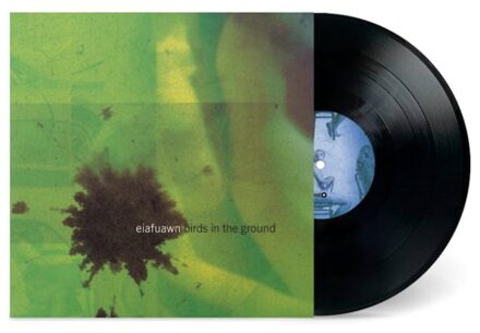 Birds In The Ground - Eiafuawn