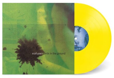 Birds In The Ground - Eiafuawn