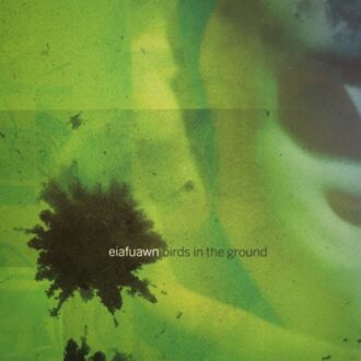 Birds In The Ground - Eiafuawn