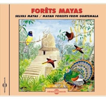 Birds :Mayan Forests Guatemala