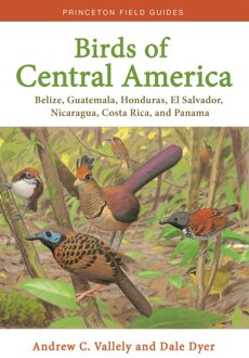 Birds of Central America