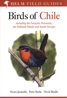 Birds of Chile