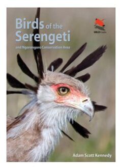 Birds of the Serengeti