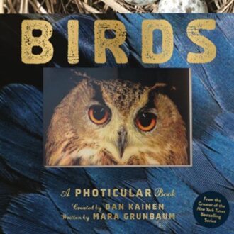 Birds - Photicular - Dan Kainen