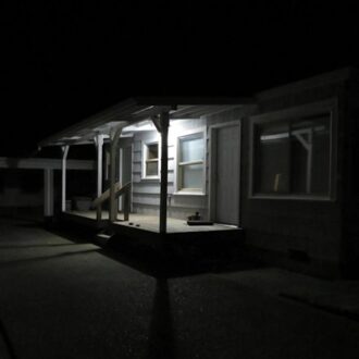 Birds Tricked Into The Trees - Damien Jurado