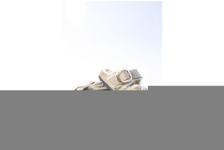 Birkenstock Arizona big buckle slippers Taupe - 38