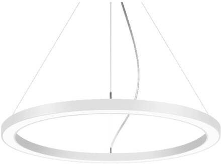 Biro Cirkel Ring5 direct Ø 60 cm DALI, wit