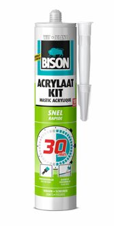 Bison Acrylaatkit 30 Minuten - Overschilderbaar - 310 ml