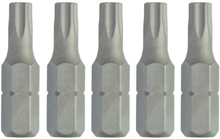 Bits Torx T25 | 5 stuks - DT7256-QZ