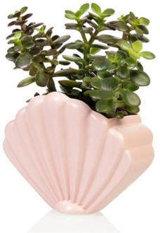 Bitten Schelp bloempot roze keramiek L