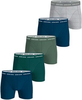 Björn Borg Björn borg heren boxershorts 5-pack – cotton stretch – multi Groen - XL