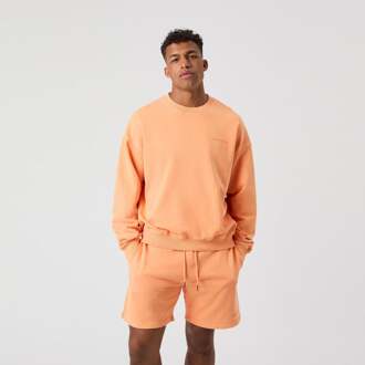 Björn Borg Borg Oversized Washed Sweatshirt Heren-Oranje - M