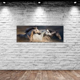 Bk Home Paard Schilderachtige Panorama Canvas Tafel 100x35cm-1