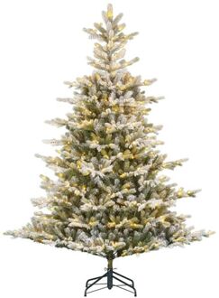 Black Box Grimshaw - Kunstkerstboom - 185 cm - 260 lampjes