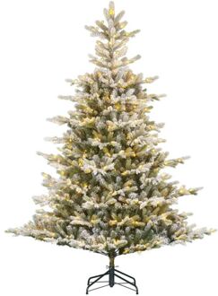 Black Box Grimshaw - Kunstkerstboom - 215 cm - 370 lampjes