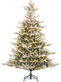 Black Box Grimshaw - Kunstkerstboom - 230 cm - 440 lampjes