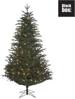 Black Box kunstkerstboom led frasier fir maat in cm: 185 x 124 blauw