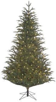 Black Box kunstkerstboom led frasier fir maat in cm: 215 x 145 groen