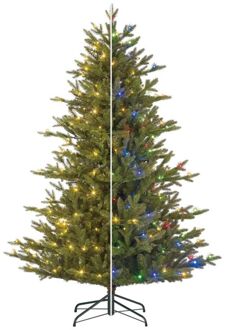 Black Box Macallan - Kunstkerstboom - 185 cm - 264 lampjes