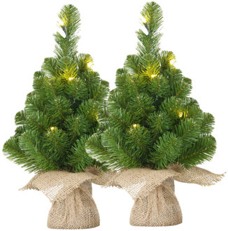 Black Box Mini kunst kerstboompjes - 2x - 30 cm - met 10 LED lampjes - warm wit - kunstboom