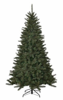 Black Box toronto kerstboom groen tips 511 maat in cm: 155 x 102