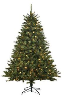 Black Box Trees Black Box Toronto kunstkerstboom groen LED d97 h120 cm