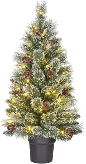 Black Box Vandans xmas tree potted led groen frosted 40L TIPS 96 werkt op batterijen h90xd48cm kerst