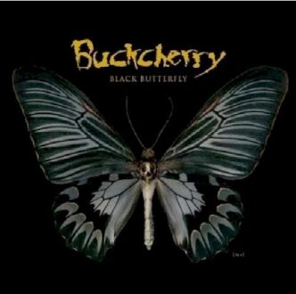Black Butterfly