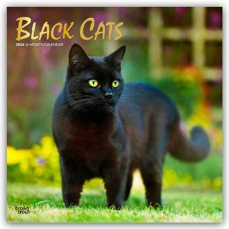 Black Cats - Schwarze Katzen 2026 - 16-Monatskalender - Browntrout Wandkalender - Browntrout Publishers