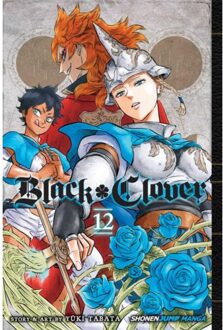 Black Clover, Vol. 12