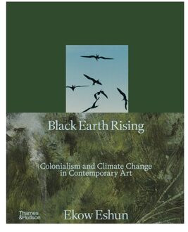 Black Earth Rising - Ekow Eshun