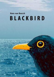 Blackbird - Hans van Heesch