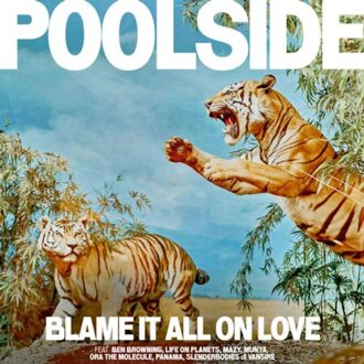 Blame It All On Love -Orange Vinyl- - Poolside