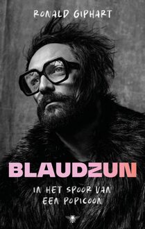 Blaudzun - Ronald Giphart - ebook