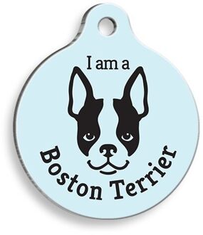 Blauw Boston Terrier Ronde Hond Armband