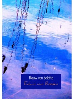 Blauw van belofte - Boek Edwin van Rossen (940213638X)