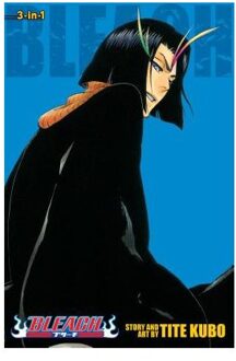 Bleach (3-in-1 Edition), Vol. 13