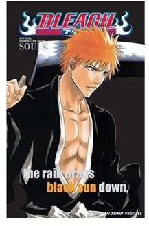 Bleach SOULs. Official Character Book