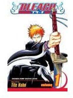 Bleach, Vol. 1