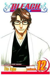 Bleach, Vol. 12