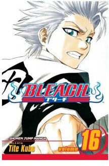 Bleach, Vol. 16