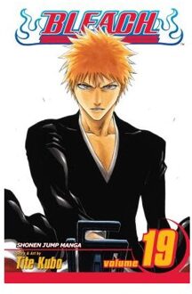 Bleach, Vol. 19