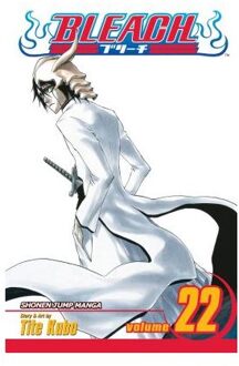 Bleach, Vol. 22