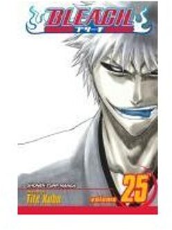 Bleach, Vol. 25