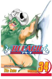 Bleach, Vol. 34